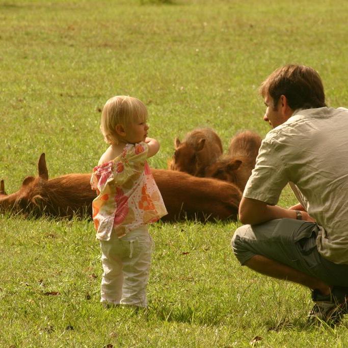 Mlilwane Wildlife Sanctuary, dieren spotten