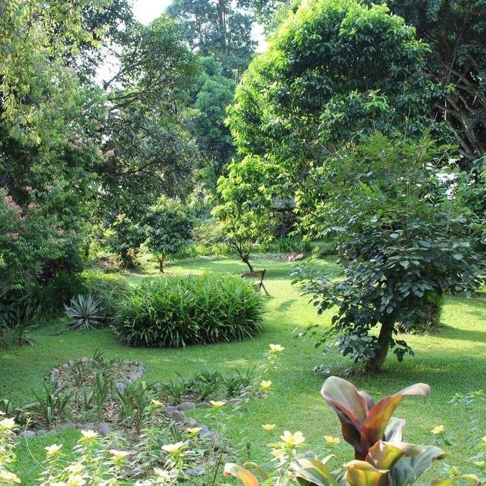 Tuin
