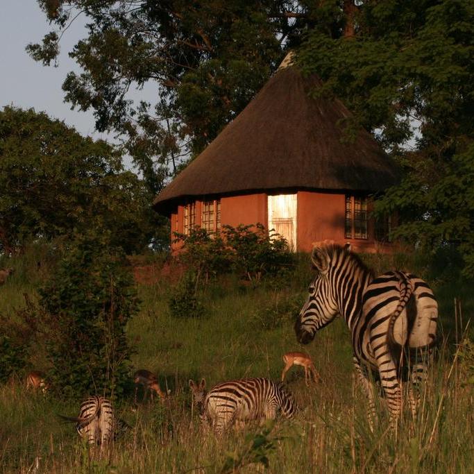 Mlilwane Wildlife Sanctuary, zebra's 