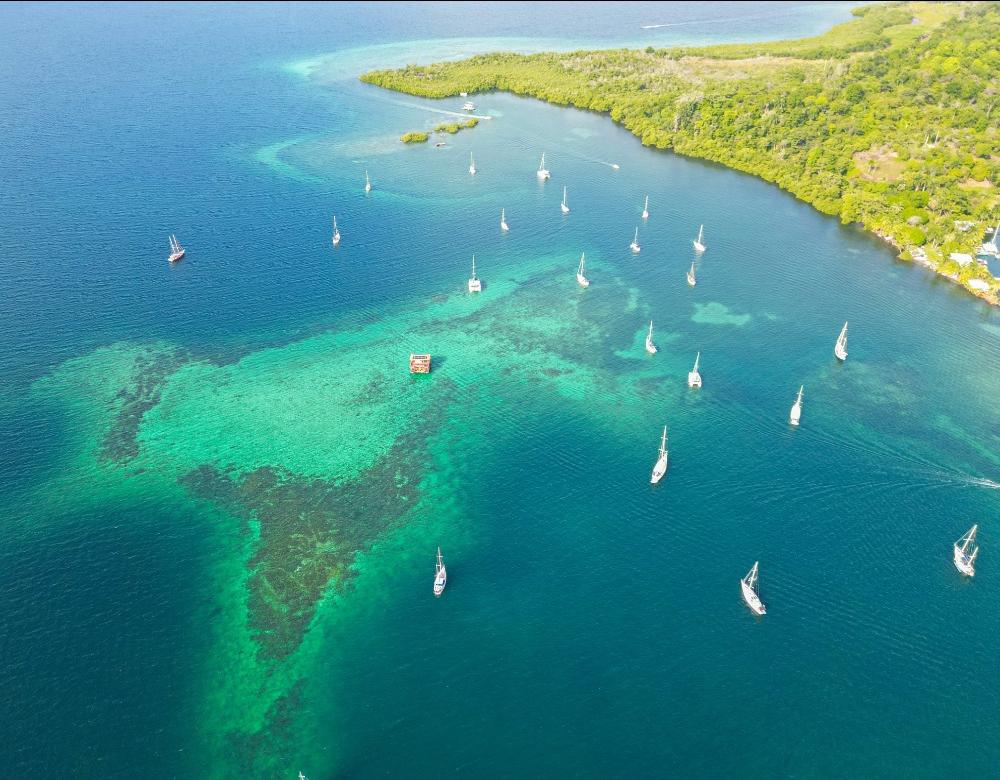 Bocas del Toro