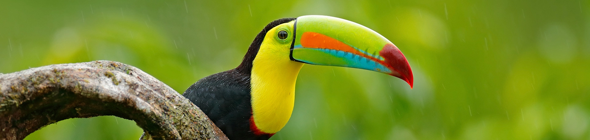 Toekand, rondreis Costa Rica