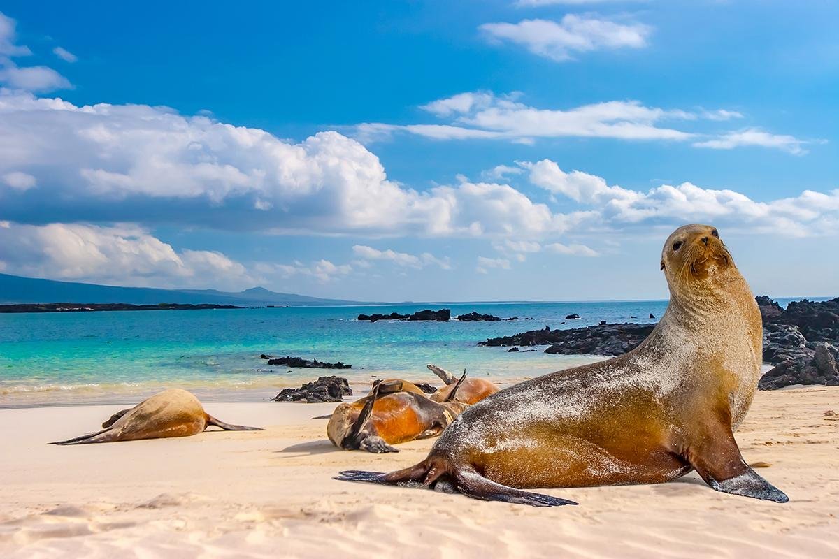 Galápagos NP