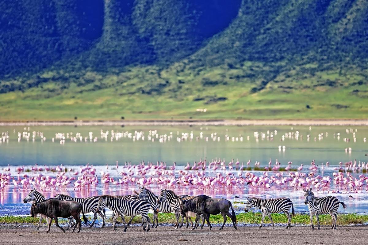 Serengeti NP