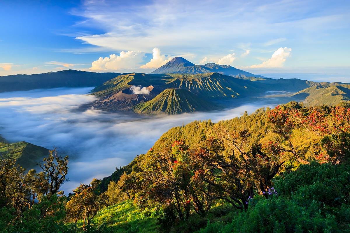 Bromo NP