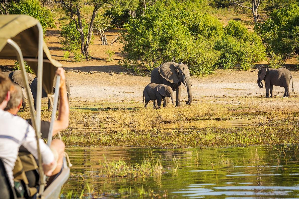 Chobe NP