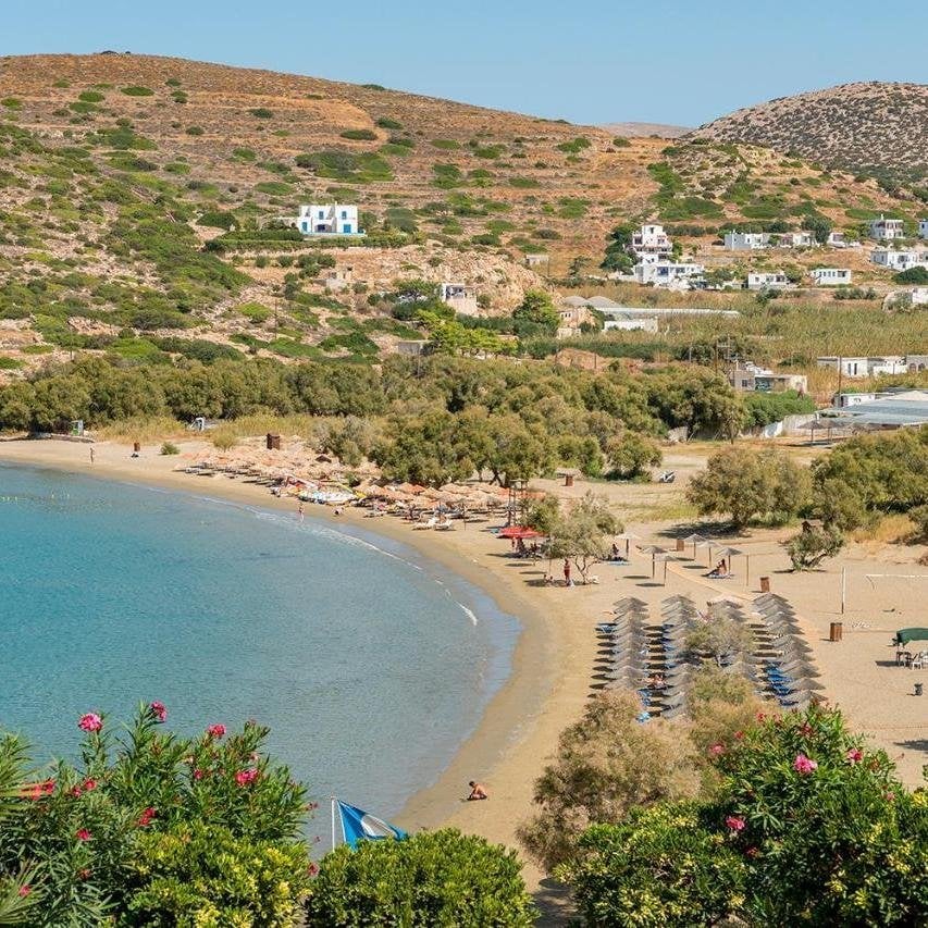 Dolphin Bay