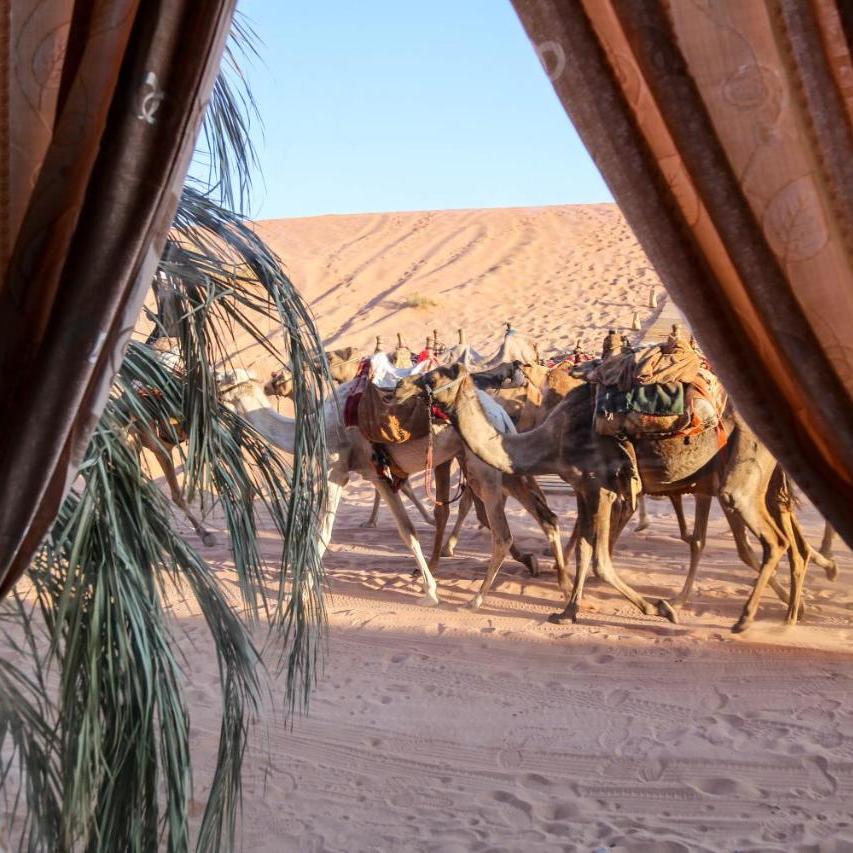 Arena Space Camp, Wadi Rum woestijn