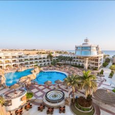 Seagull Hurghada